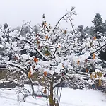 Chalet Oneiropagidasuites Kalavryta