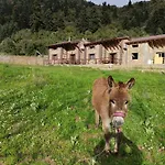 Oneiropagidasuites Kalavryta