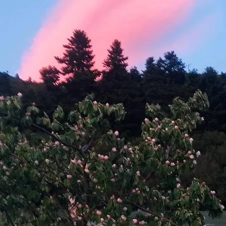 Oneiropagidasuites * קלבריטה