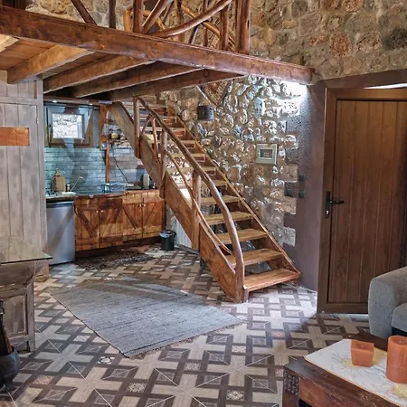 Oneiropagidasuites *