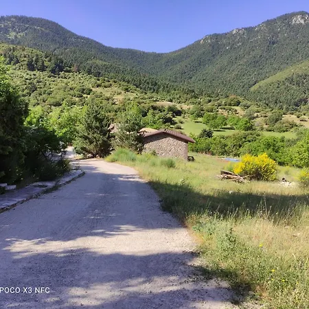 Oneiropagidasuites *