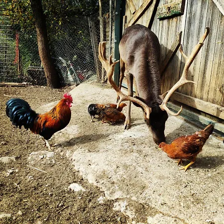 木屋 Oneiropagidasuites