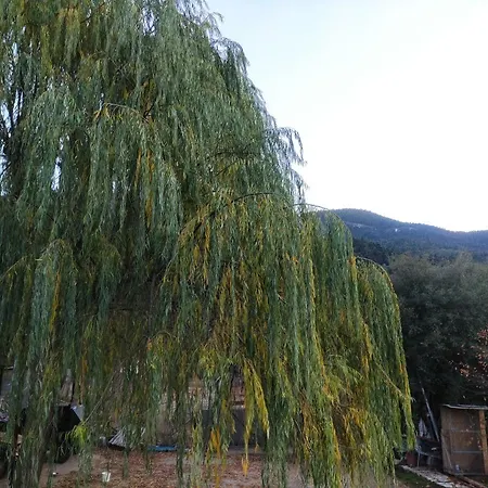 Oneiropagidasuites בקתה *