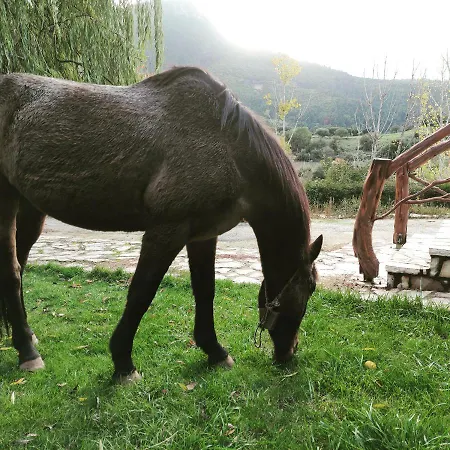 Oneiropagidasuites * קלבריטה