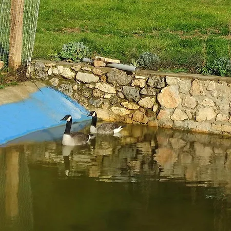 Oneiropagidasuites קלבריטה