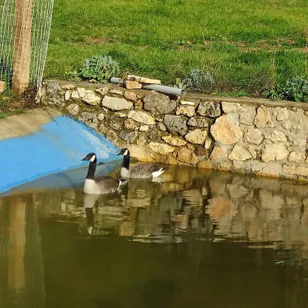 בקתה Oneiropagidasuites