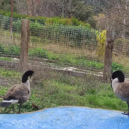 木屋 Oneiropagidasuites 卡拉维塔