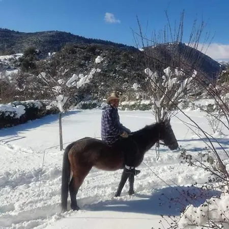 Oneiropagidasuites Dağ evi *