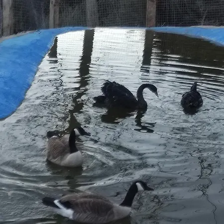 בקתה Oneiropagidasuites קלבריטה