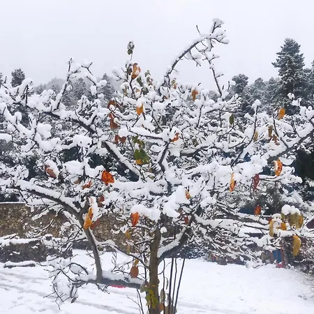 Dağ evi Oneiropagidasuites Kalavryta
