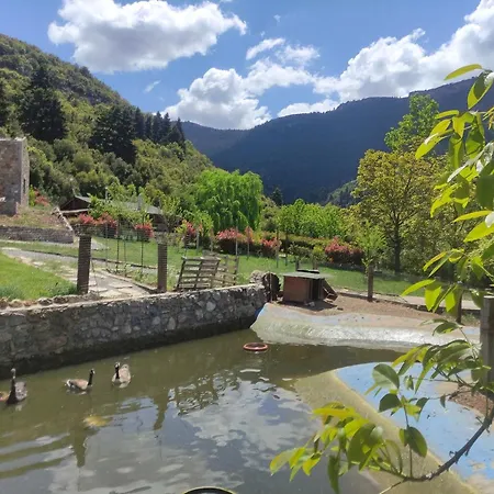 Oneiropagidasuites *