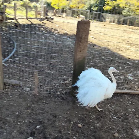 Шале Oneiropagidasuites *