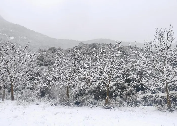 Oneiropagidasuites Kalavryta