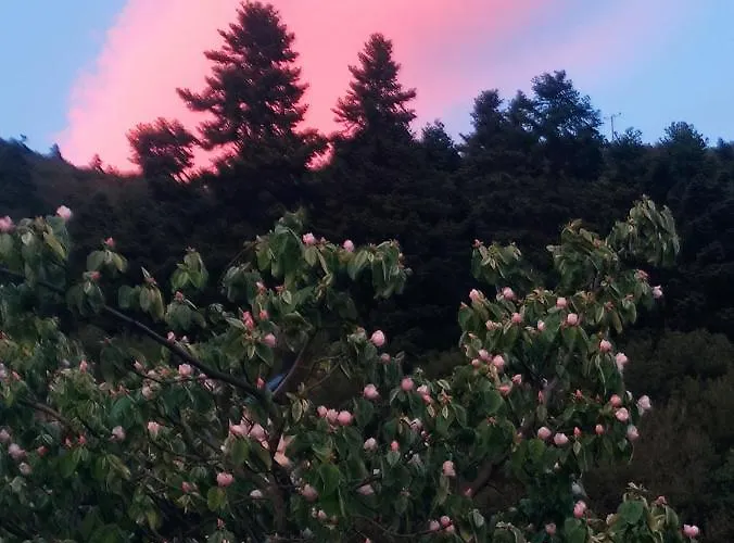 Oneiropagidasuites * Калаврита