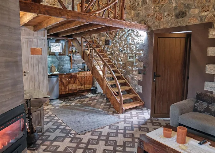 Oneiropagidasuites *