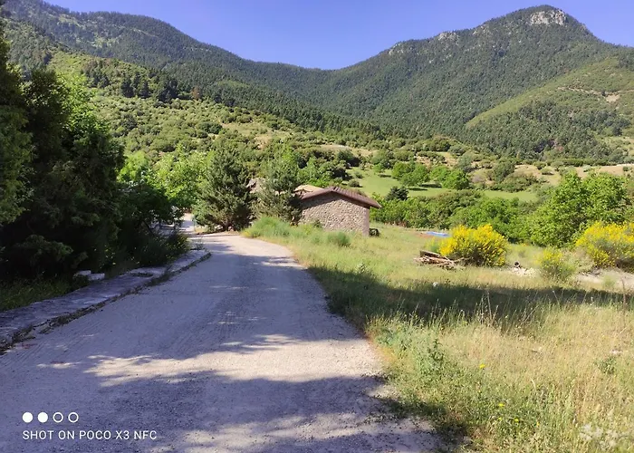 Oneiropagidasuites *