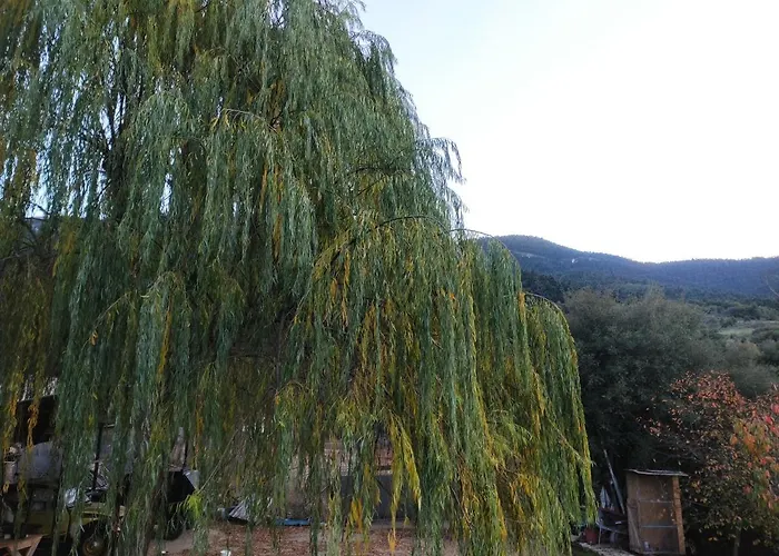 Oneiropagidasuites Шале *