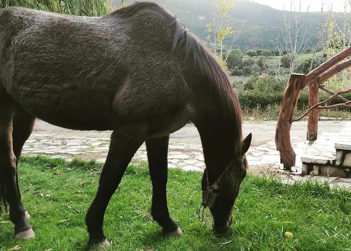 Oneiropagidasuites * Калаврита