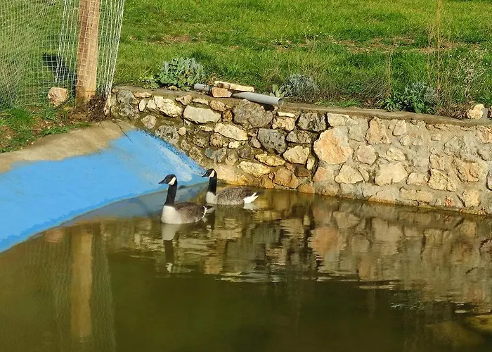 Oneiropagidasuites Калаврита