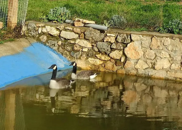 Шале Oneiropagidasuites