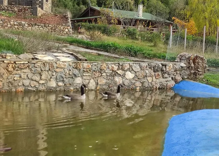 Oneiropagidasuites Alpehytte