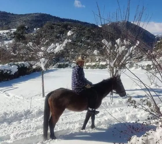 Oneiropagidasuites Alpehytte *