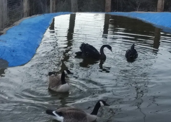 Alpehytte Oneiropagidasuites Kalavryta