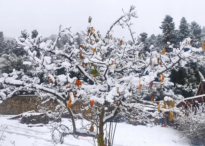 Alpehytte Oneiropagidasuites Kalavryta