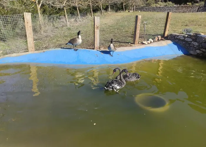 Oneiropagidasuites Калаврита