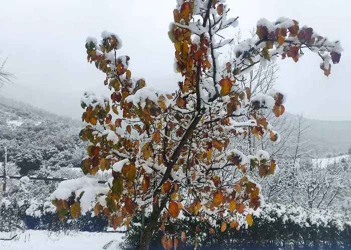 Oneiropagidasuites *