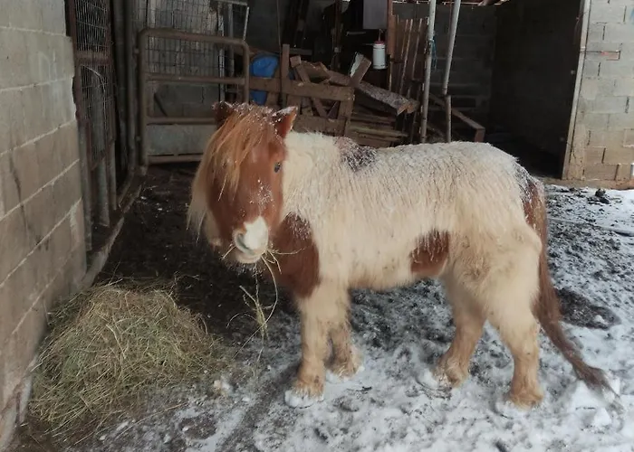 Шале Oneiropagidasuites