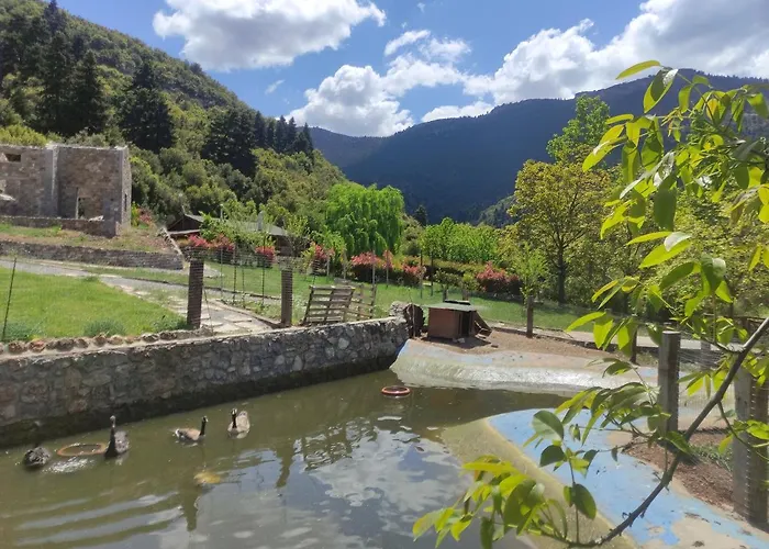 Oneiropagidasuites *