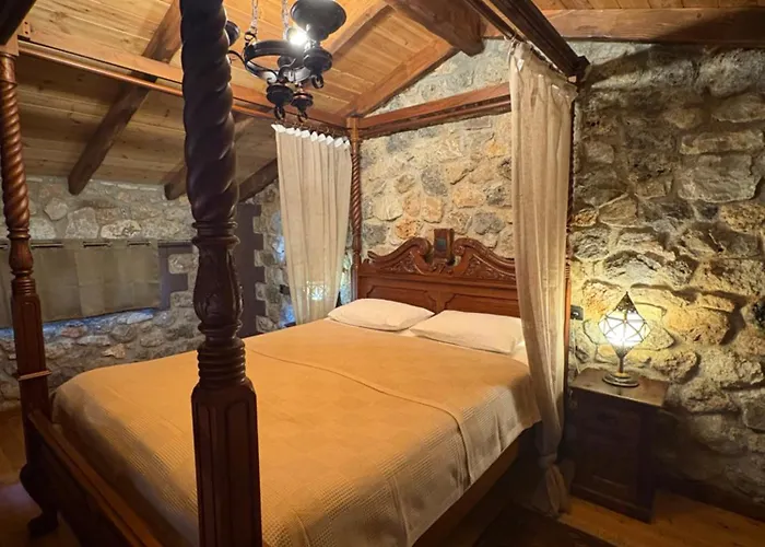 Oneiropagidasuites *