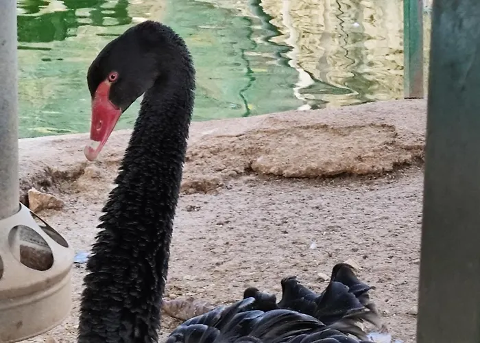 Oneiropagidasuites * Kalavryta