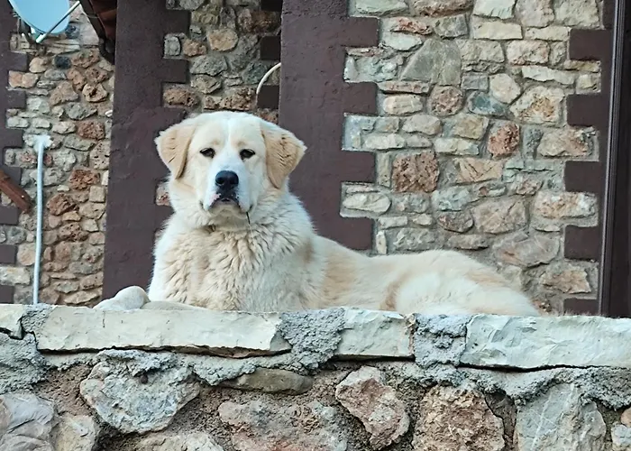 Шале Oneiropagidasuites *