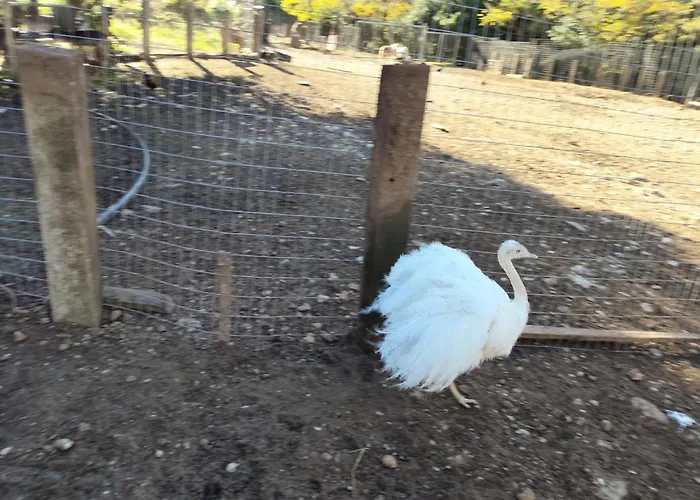 Шале Oneiropagidasuites *