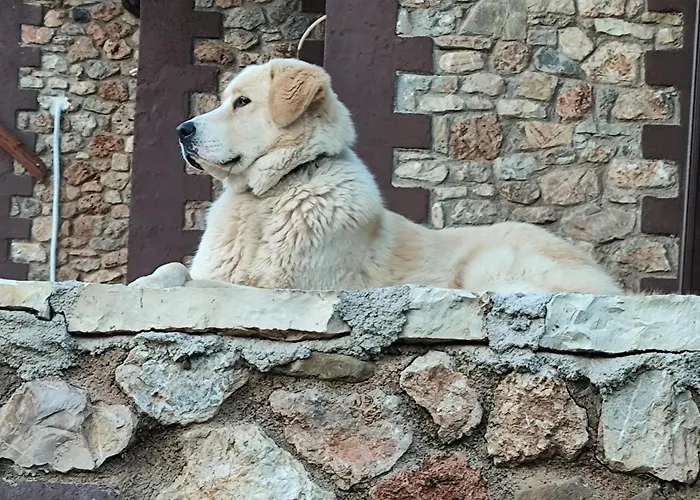 Oneiropagidasuites Шале